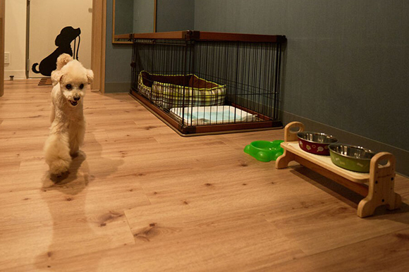 ワンちゃんルーム
